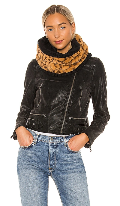 Plush Reversible Cheetah Neckwarmer In Black & Brown Multi