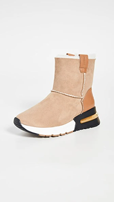 Ash Kyoto Suede Bootie With Shearling In Camel
