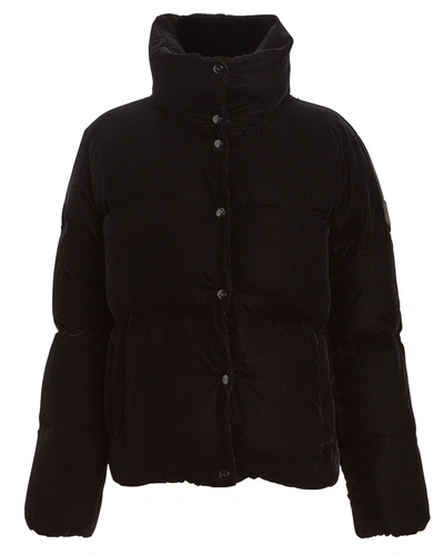 Sam Sophia Velvet Puffer Jacket In Black