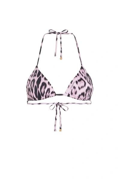 Roberto Cavalli Heritage Jaguar Print Bikini Top In Pink