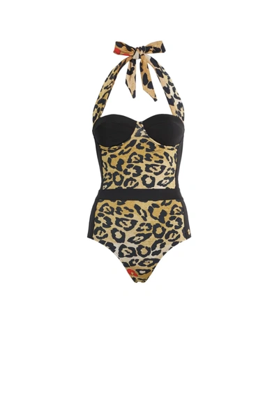 Roberto Cavalli Jaguar Print Swimsuit In Black