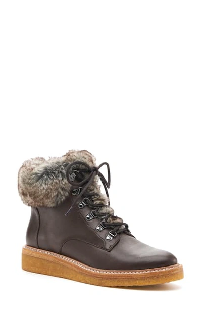 Botkier Women's Winter Leather Lace Up Boots In Java