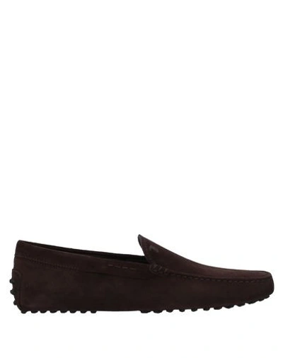 Tod's Loafers In Cocoa