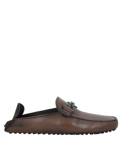 Tod's Loafers In Brown