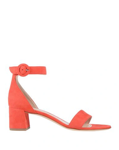 Aldo Castagna Sandals In Red