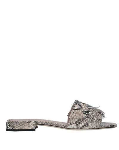 Alberto Gozzi Sandals In Grey