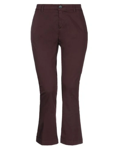 Department Five Pants In Maroon