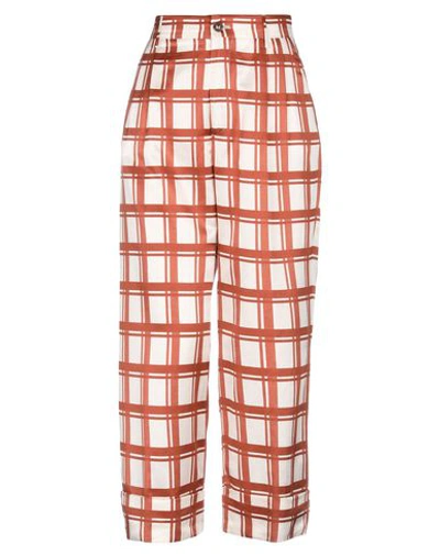 Berwich Pants In Brown