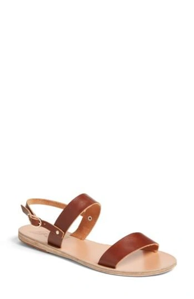 Ancient Greek Sandals Clio Slingback Sandal In Cotto/ Brown