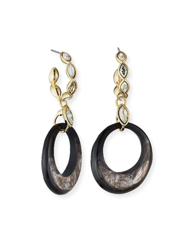 Akola Crystal Hoop Horn-drop Earrings In Black