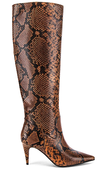 Jeffrey Campbell Parallel Boot In Brown Black Snake