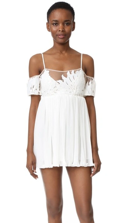 Alice mccall the best clearance dress