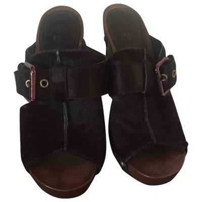 Pre-owned Louis Vuitton Pony-style Calfskin Mules & Clogs In Brown