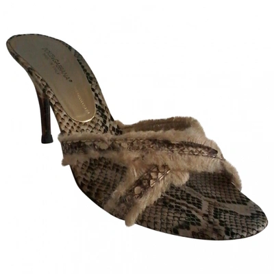 Pre-owned Dolce & Gabbana Python Sandals