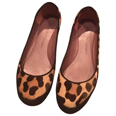 Pre-owned Jean-michel Cazabat Pony-style Calfskin Ballet Flats In Multicolour
