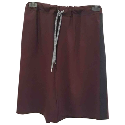 Pre-owned Erika Cavallini Skirt In Burgundy