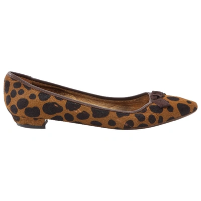 Pre-owned Miu Miu Pony-style Calfskin Ballet Flats In Brown