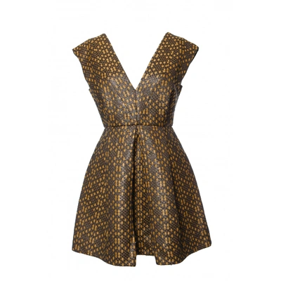 Pre-owned Matthew Williamson Mini Dress In Brown