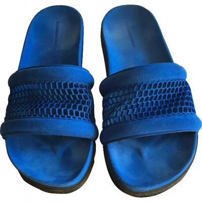 Pre-owned Alexander Wang Blue Suede Sandals