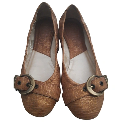 Pre-owned Dior Leather Ballet Flats In Gold