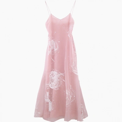 Pre-owned Dior Silk Maxi Dress In Pink