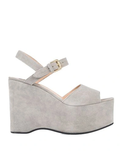 Liviana Conti Sandals In Light Grey