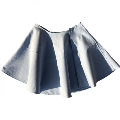 Pre-owned Ports 1961 Skirt In Blue