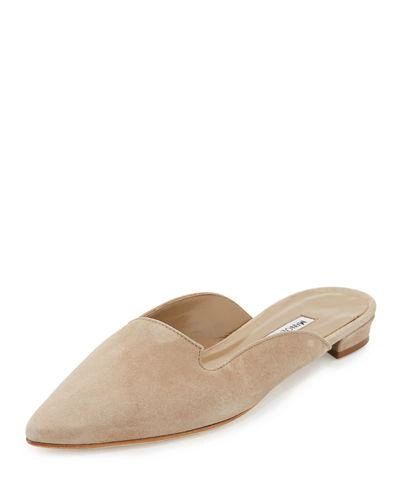 Manolo Blahnik Ruby Suede Pointed-toe Mule In Neutral Pattern