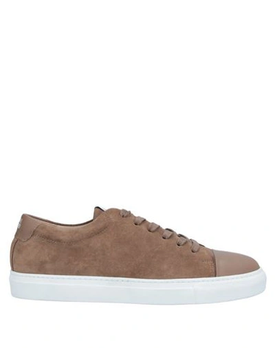 National Standard Sneakers In Taupe Suede In Khaki