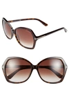 Tom Ford Carola 60mm Sunglasses In Havana/ Gradient Brown Lenses