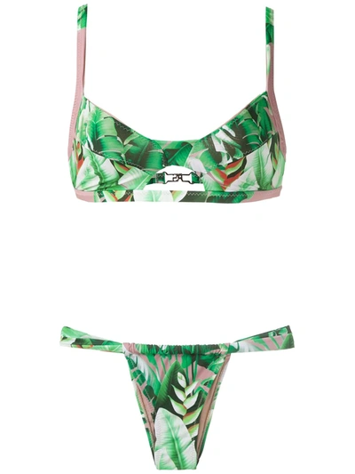 Amir Slama Printed Bikini Set In Green