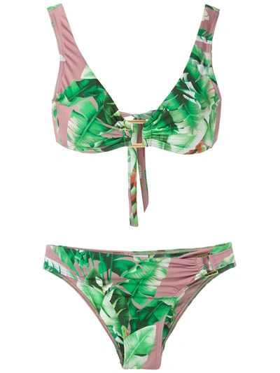 Amir Slama Floral Print Bikini Set In Green