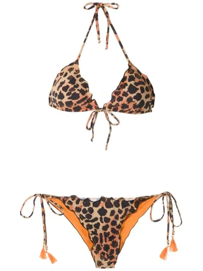Brigitte Animal Print Triangle Bikini Set In Multicolour