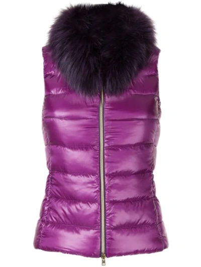 Herno Padded Down Gilet In Purple