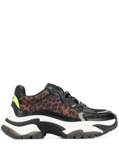 Ash Addiction Trainers In Animalier Tech/synthetic In Black