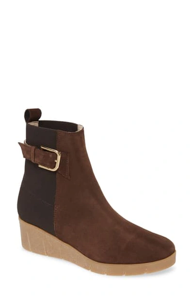 Amalfi By Rangoni Gianmaria Bootie In Chocolate Suede