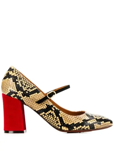 Chie Mihara Vache Pumps In Beige Leather