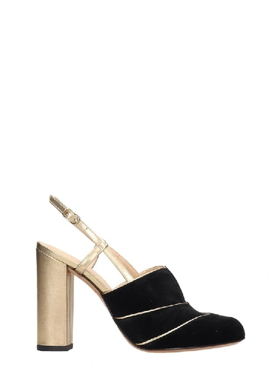 Chie Mihara Do-darlin Sandals In Black Velvet