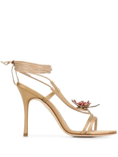 Manolo Blahnik Starfish Wrap Sandal In Brown