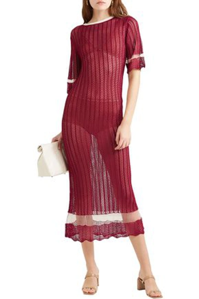 Joseph Mesh-paneled Pointelle-knit Midi Dress In Brick