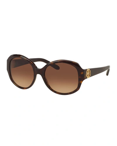 Tory Burch Acetate Butterfly Sunglasses In Tortoise