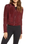 Blanc Noir Suede Mesh Zip-front Moto Jacket In Bordeaux