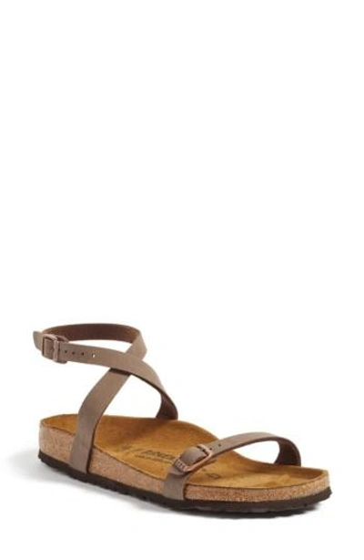 Birkenstock Daloa Ankle Strap Sandal In Mocha