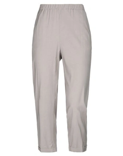 True Tradition Pants In Grey