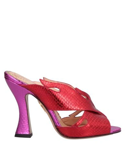 Charlotte Olympia Sandals In Red