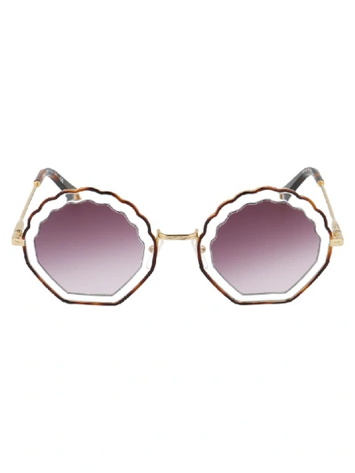 Chloé Sunglasses In Havana Crystal