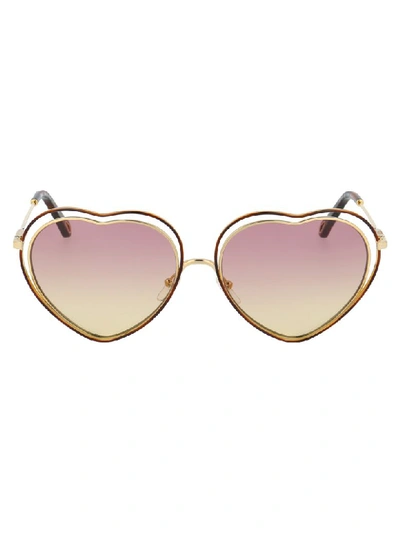 Chloé Sunglasses In Havana Rose