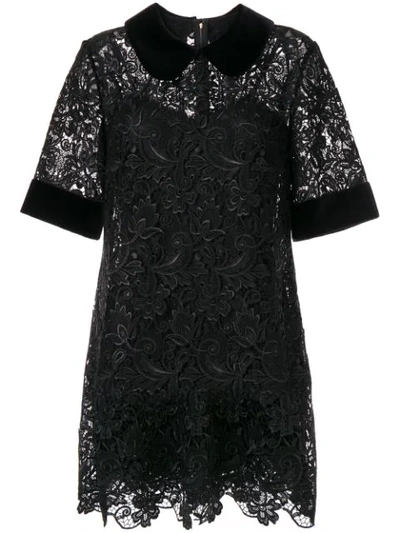 Dolce & Gabbana Lace Detail Collared Dress In Black