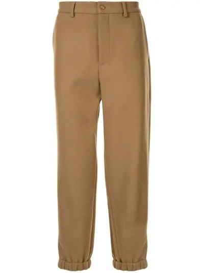 Emporio Armani Trousers In Brown