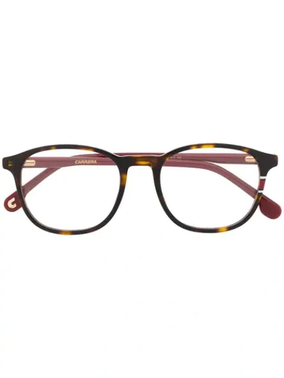 Carrera Square Frame Glasses In Brown